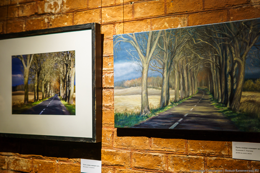 «О чем молчат деревья»: в Воротах открылась выставка, воспевающая придорожные аллеи (фото)