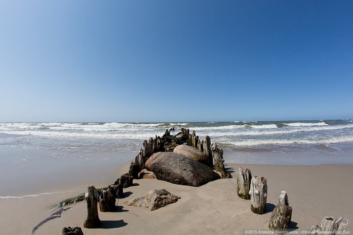 Фото — Алексей Милованов, «Новый Калининград»