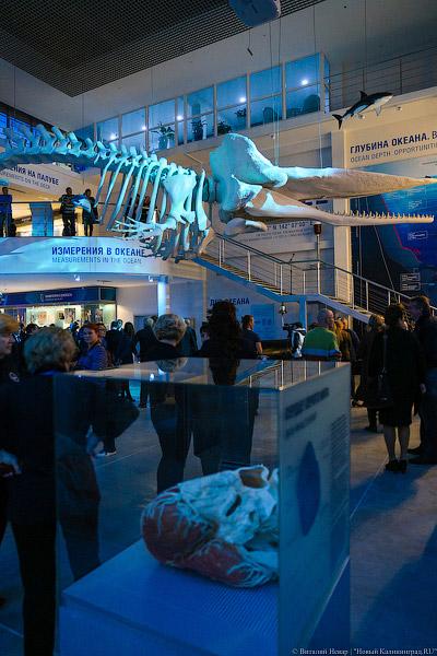 На уникальной глубине: что представляет собой новый комплекс ММО