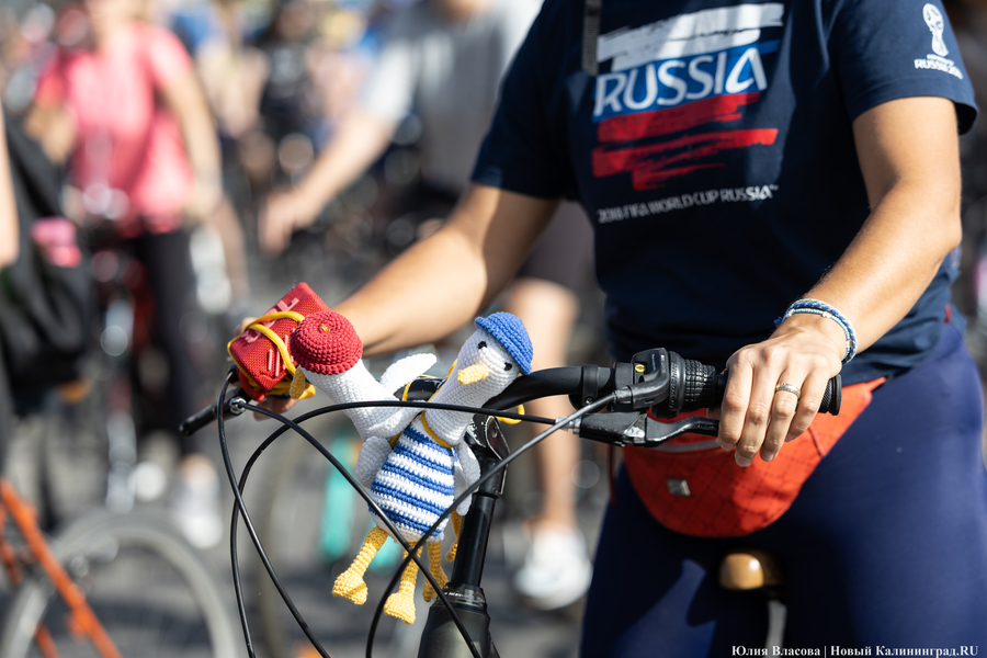 До моря на двух колёсах: в Калининграде проходит велопробег «Тур-де-Кранц» (фото)