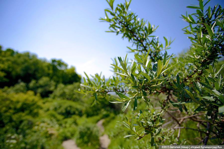 Дикие пляжи. Продолжение: Донское накануне курортного сезона
