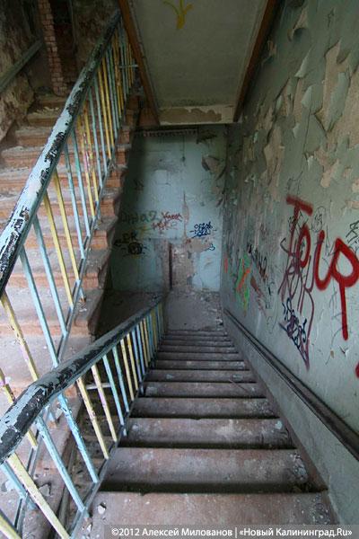 «Куда ушли детские сады»: фоторепортаж «Нового Калининграда.Ru»