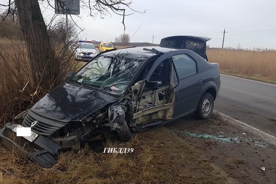 Под Светлым «Рено» вылетел на «встречку» и врезался в два дерева (фото)