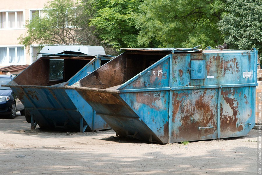 В Калининграде с озер ежедневно вывозят до 15 тонн мусора