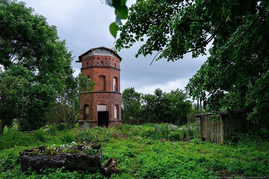 Цветы вместо забора: как калининградская художница пытается спасти башню XIX века