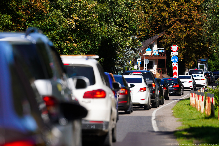 «Выбирайте другие места отдыха»: дорогу на Куршской косе закрывают почти на годовой ремонт