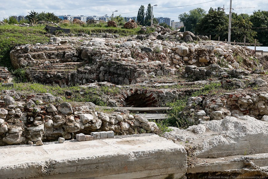 Власти не могут найти фирму, которая покроет руины Королевского замка спецсредством