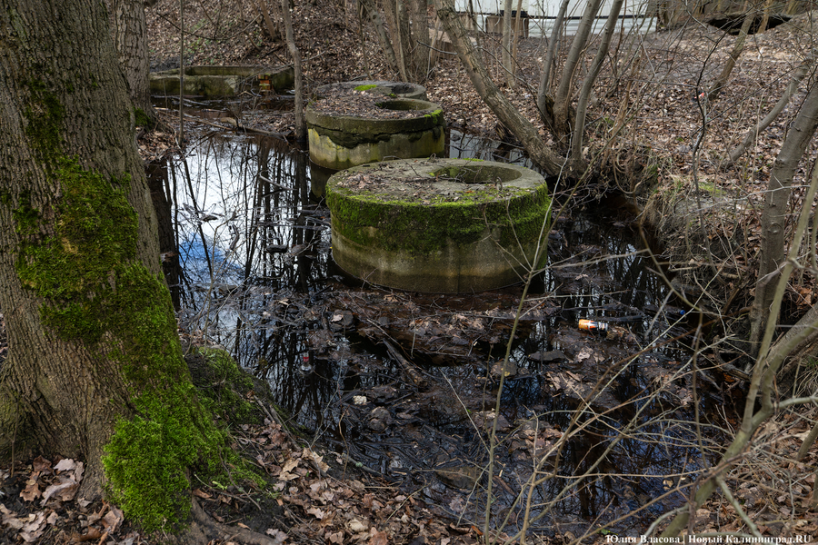 Непролазная грязь: как выглядит берег Литовского ручья в ожидании реновации (фото)