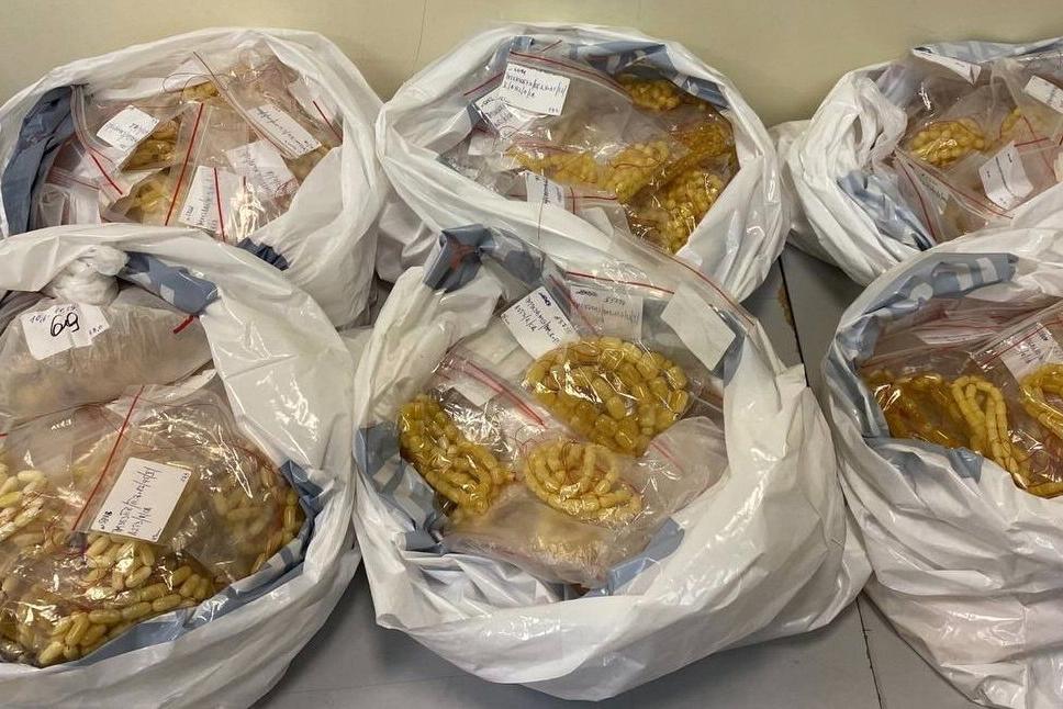 Россиянка пыталась вывезти в ОАЭ шесть «набитых янтарем» пакетов (фото)