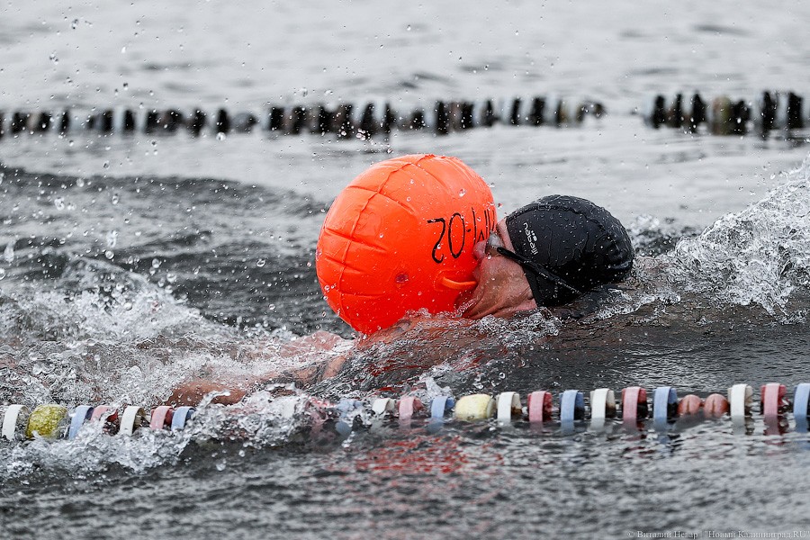 Холодный мир: на Шенфлизе прошли купания польских и калининградских моржей (фото)