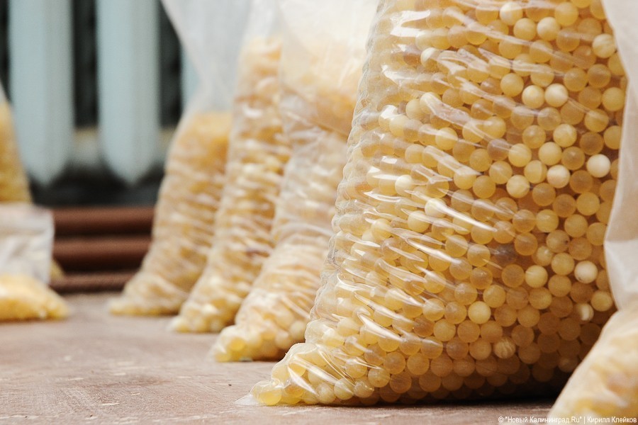 Калининградцу дали 2 года колонии за контрабанду янтаря