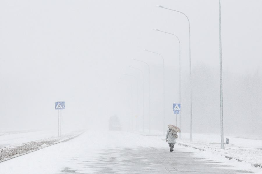 «Хоть что-то строится в срок»: Цуканов оценил дорожные работы на Сельме