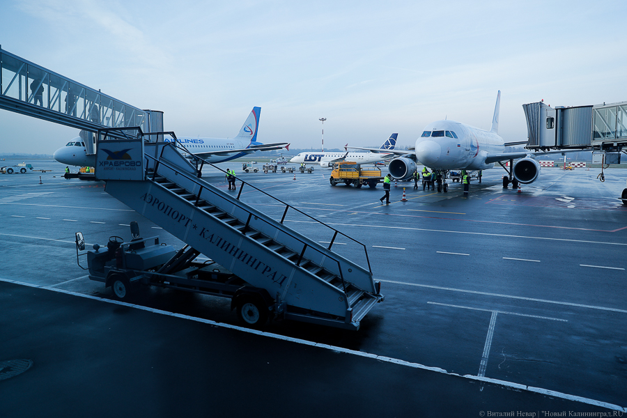 «Белавиа» возобновляет авиарейсы из Минска в Калининград