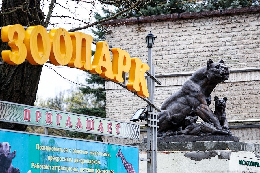 Звери из бронзы: на входе в Калининградский зоопарк установили новые скульптуры (фото)