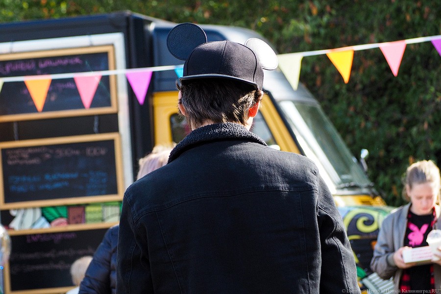 Подари мне дом: на Верхнем озере организовали выставку бездомных животных