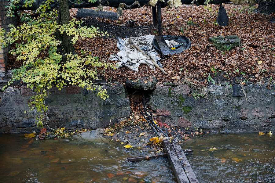 Прокуратура требует от властей разобраться со сбросом сточных вод в Гагаринский ручей