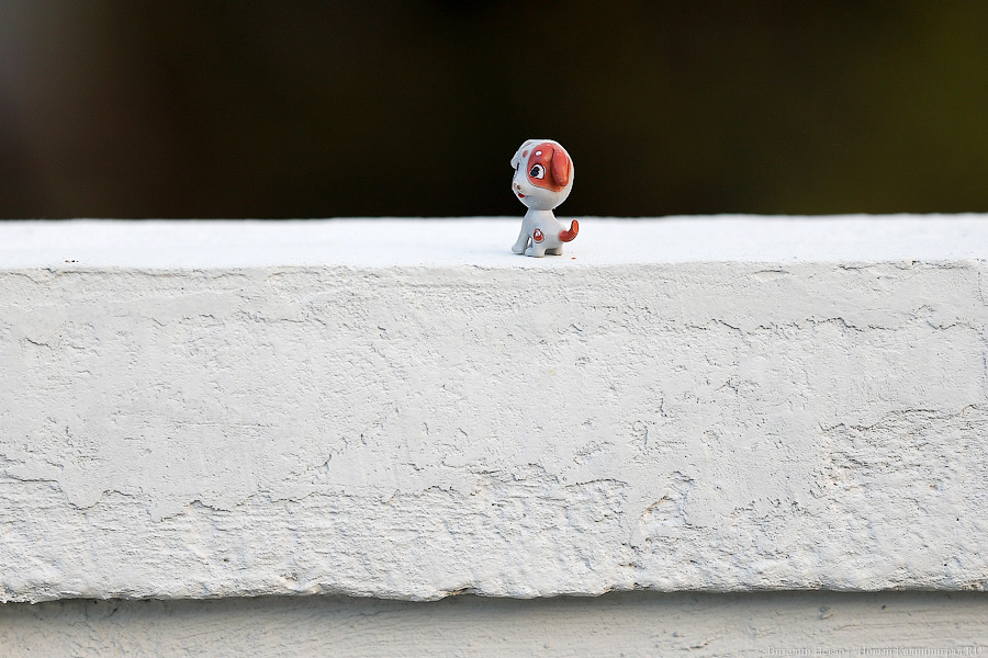 Отбойник на табуретке: мост на улице Киевской открыли для транспорта