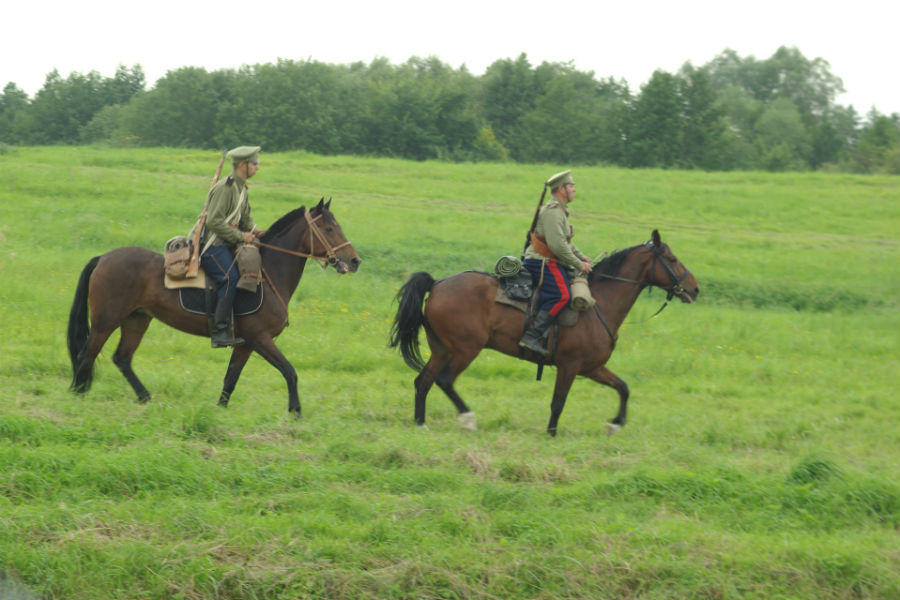 Фото — Алексей Петрушин для «Нового Калининграда.Ru»