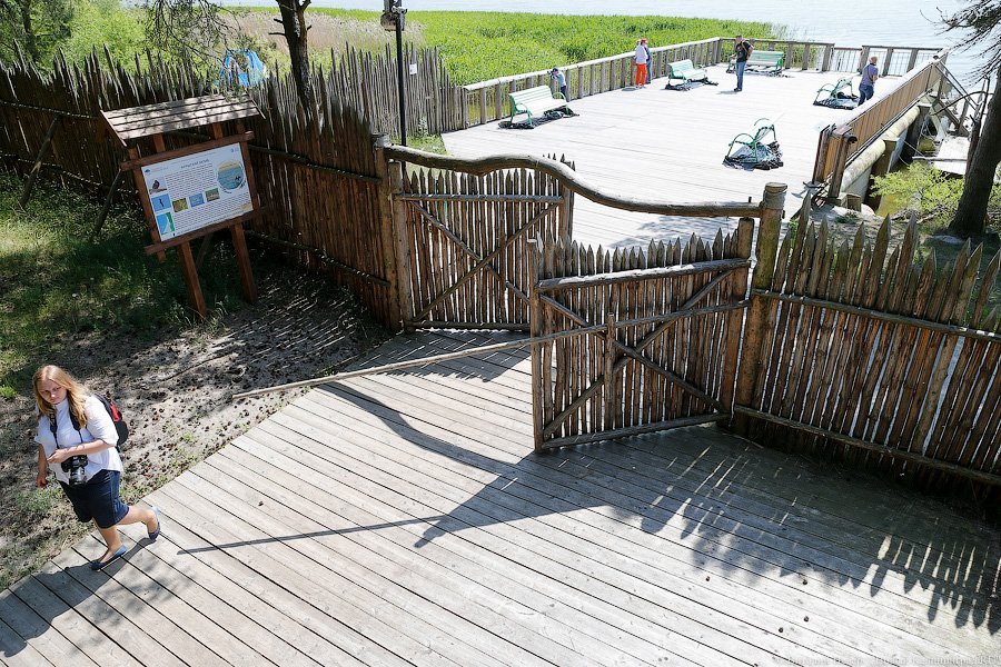 Олаф и его хирд: деревня викингов на Куршской косе стала обитаемой