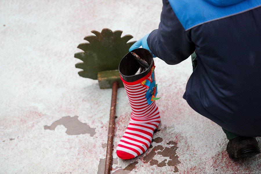Сюрпризы для зверей: в зоопарке поздравили животных с Новым годом (фото)