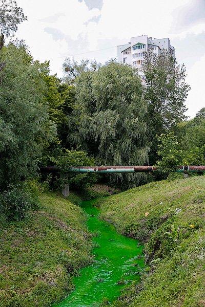 Страшный сон Тортиллы: почему вода в Ялтинском пруду стала ядовито-зеленой (фото)