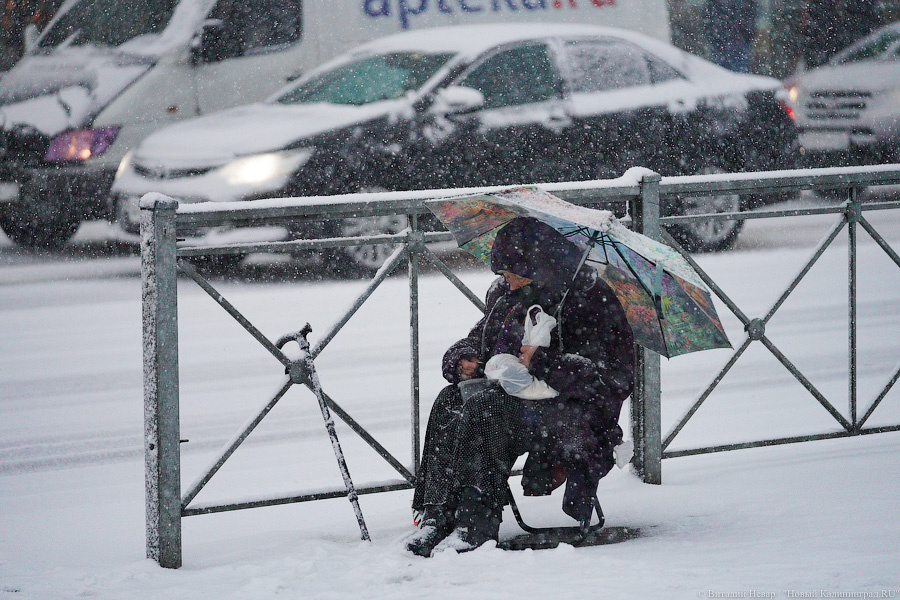 «В холодных объятьях распутицы»: первый снегопад в Калининграде привел к коллапсу (фото)