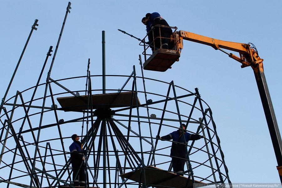 "Много на ёлочке шариков цветных": фоторепортаж "Нового Калининграда.Ru"