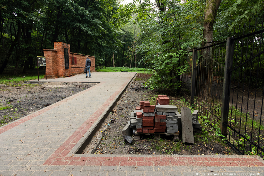 В Калининграде начали благоустраивать старое еврейское кладбище (фото)