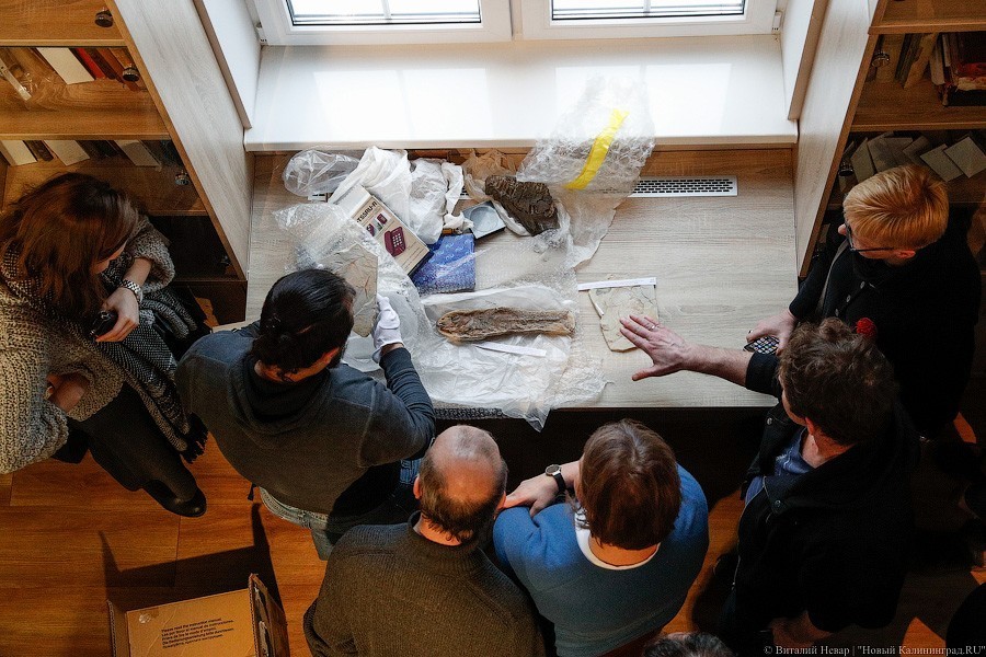 Облако планктона: в Музее Мирового океана готовят выставку актуального искусства