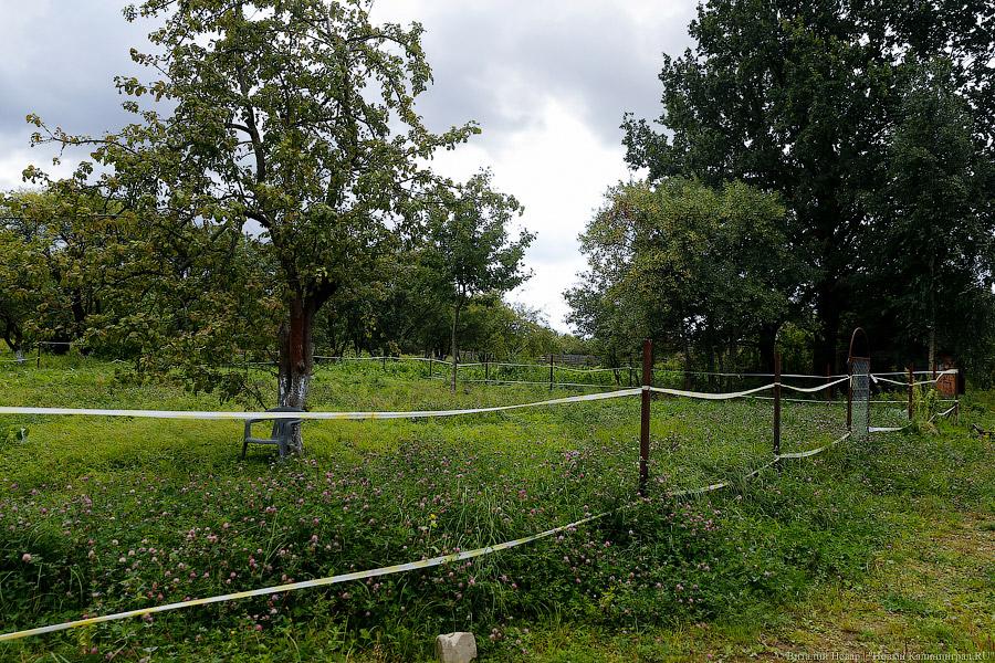 Фото — Виталий Невар, «Новый Калининград.Ru»