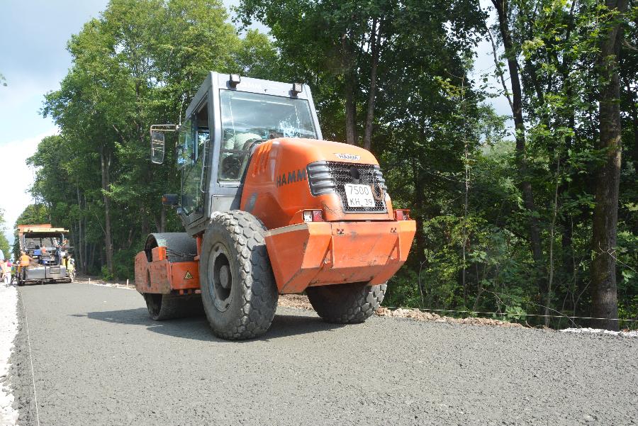 В Калининграде объявлены торги на ремонт улицы вдоль Ботанического сада