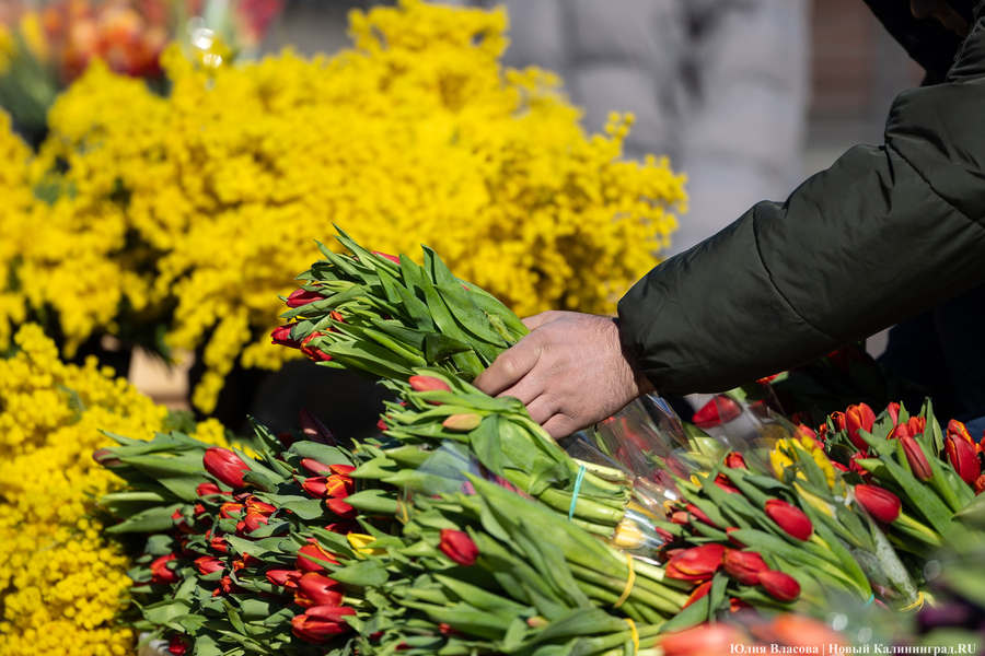 Цветочные баррикады: как выглядят улицы Калининграда 8 марта (фото)