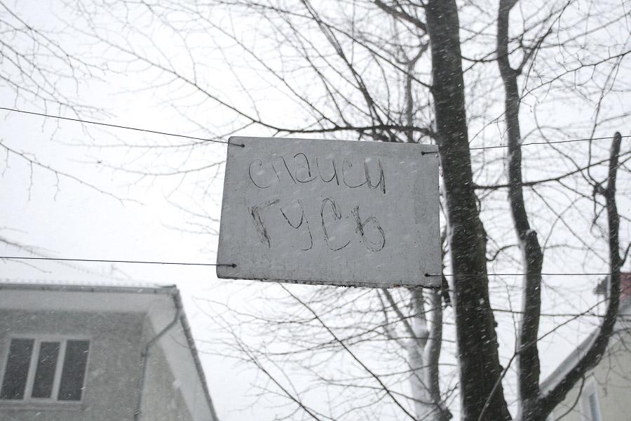 Засыпало: ураган «Ксавьер» принес в Калининград зиму