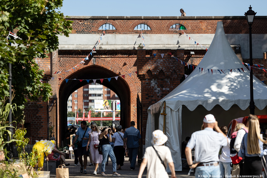 «Цветы против пивных бутылок»: как прошел фестиваль «Хранителей руин» (фото)