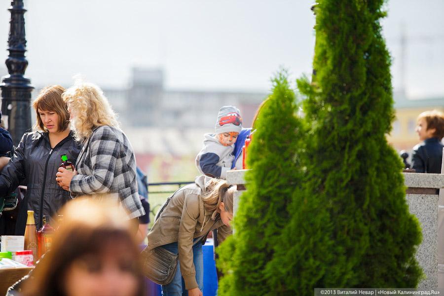 Кот — друг человека: в Калининграде отметили очередной кошачий праздник