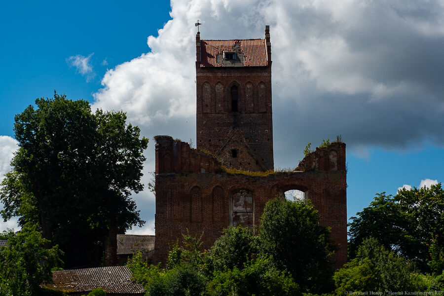 Фото: Виталий Невар / Новый Калининград 