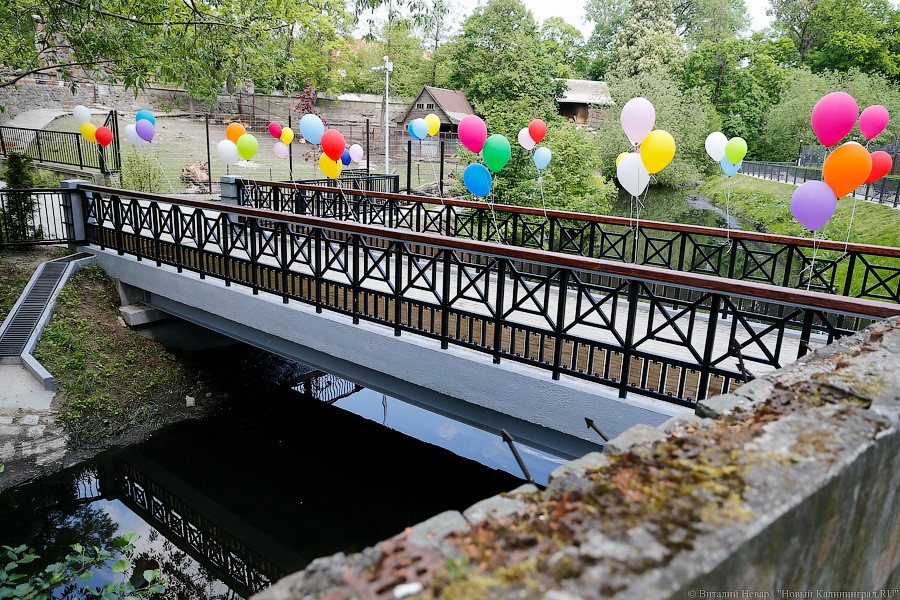 Фото — Виталий Невар, «Новый Калининград»