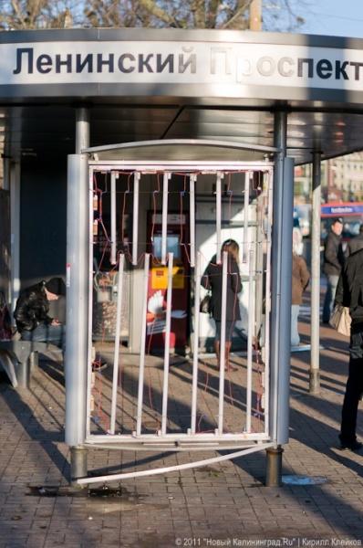 «А поутру они проснулись»: фоторепортаж «Нового Калининграда.Ru»