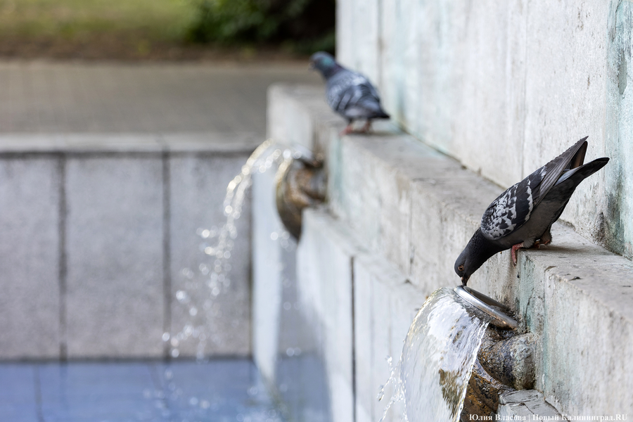 Минимум нагрузок: региональный минздрав советует, как пережить жару