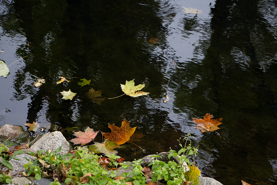 Локальные подтопления, повреждённые авто: власти рассказали о последствиях шторма
