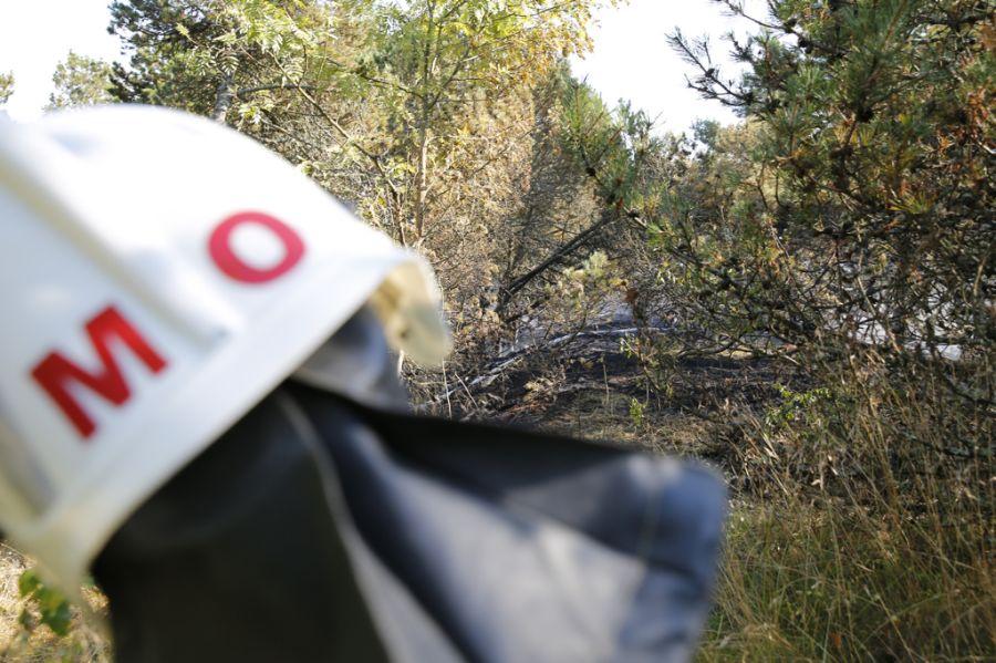 Пожар на дюне Эфа: возгорание на Куршской косе тушили вертолёты