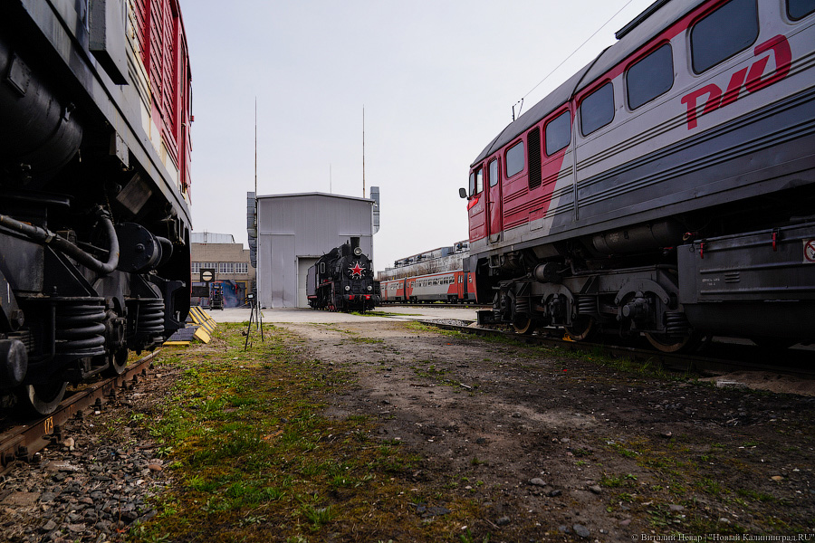 На ретропоезде до Советска: в Калининград привезли туристический паровоз (фото)
