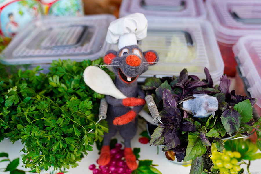 Взять в руку и есть: у Дома Советов прошел городской пикник Kaliningrad Street Food