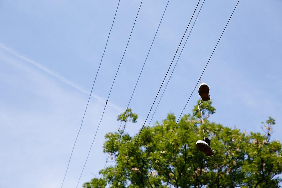 Калининградское чудо: застройщик гостиницы не вырубает, а благоустраивает 2 сквера (фото)