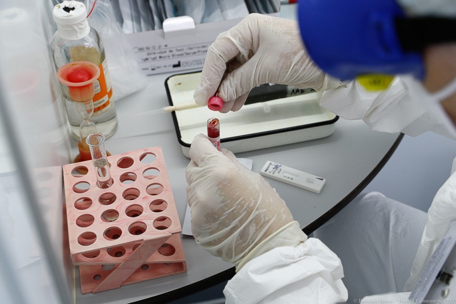 Коронавирус за сутки нашли у моряка, абитуриента из Архангельска и двух медиков