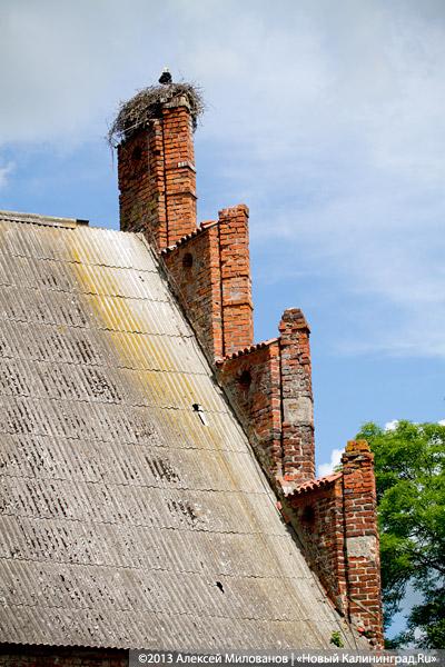 Протестанты и надгробия: кирху в пос. Дружба перестали восстанавливать после передачи РПЦ