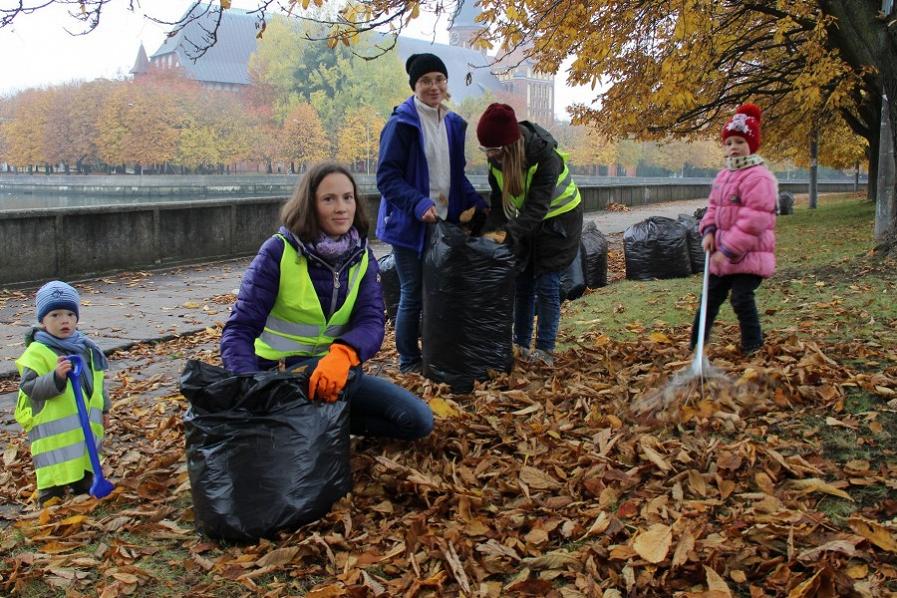 Елена Дятлова — о пакетах для сбора листвы: «Будем думать над их заменой»