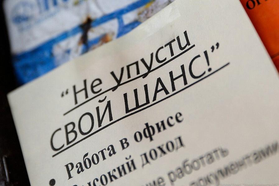 Филиал РАНХиГС намерен бесплатно переобучить 1,5 тыс. калининградцев