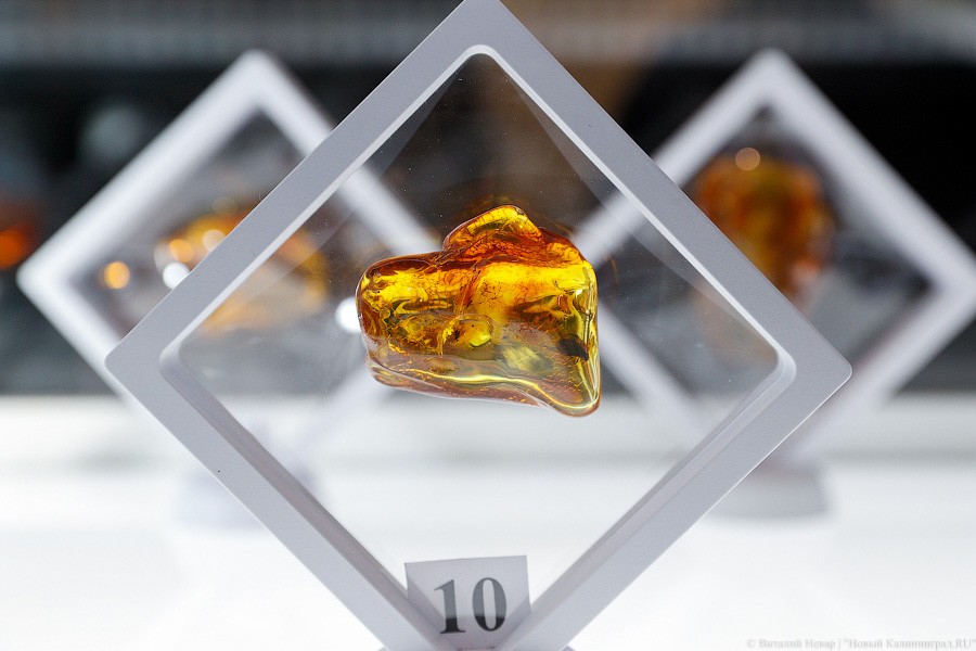 Янтарная козявка: чем закончились первые в Калининграде торги по инклюзам (фото)