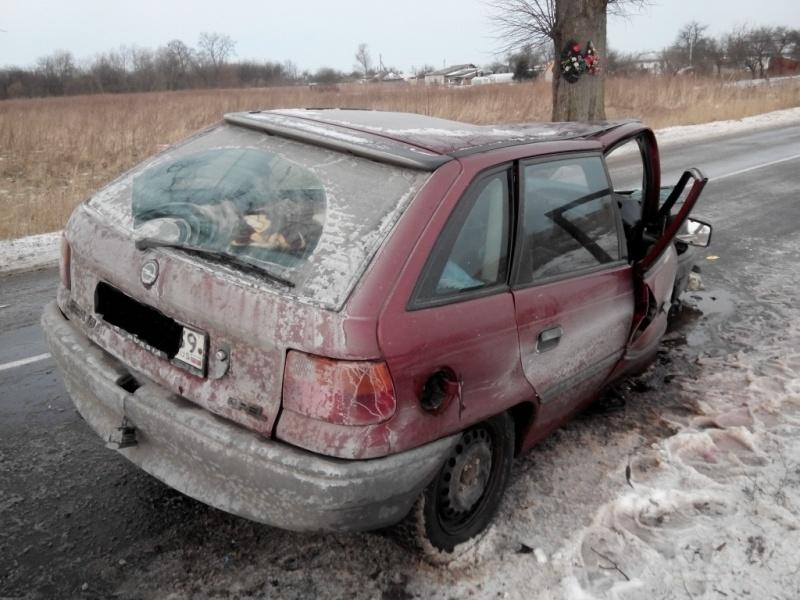 В Полесском районе в ДТП пострадал водитель «Опеля», врезавшегося в дерево (фото)